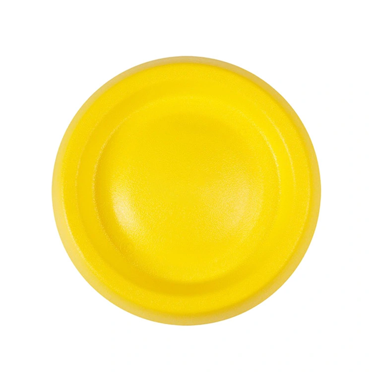 EVA Pet Frisbee-ni təhlükəsiz, davamlı və əyləncəli it oyunu üçün ən yaxşı seçim edən nədir